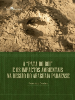 A "Pata do Boi" e os impactos ambientais na região do Araguaia Paraense
