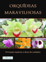 Orquídeas maravilhosas: Principais espécies e dicas de cuidados