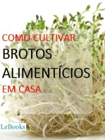 Como cultivar brotos alimentícios em casa