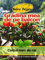 Grădina mea de pe balcon: Colțul meu de rai