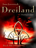 Dreiland III