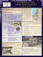 A Survey of the New Testament Laminated Sheet