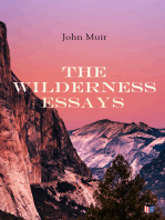 The Wilderness Essays