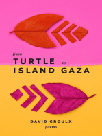 From Turtle Island to Gaza