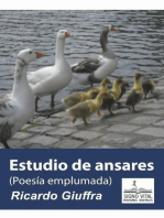 Estudio de Ansares: Poesía emplumada