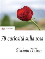78 curiosità sulla rosa