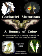 Cockatiel Mutations: A Bounty of Color
