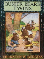 Buster Bear's Twins