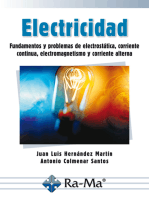 Electricidad: Fundamentos y problemas de electrostática, corriente continua, electromagneti
