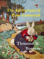 The Adventures of Peter Cottontail