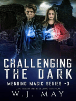 Challenging the Dark: Mending Magic Series, #3
