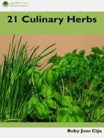 21 Culinary Herbs