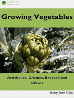 Growing Vegetables: Artichokes, Crosnes, Broccoli and Chives