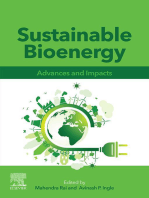 Sustainable Bioenergy: Advances and Impacts