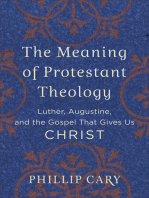 The Meaning of Protestant Theology: Luther, Augustine, and the Gospel That Gives Us Christ