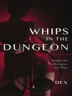 Whips in the Dungeon: Singletail Techniques for Play