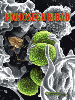 Nanoseguridad