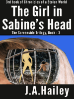 The Girl in Sabine's Head, The Screenside Trilogy, Book-3
