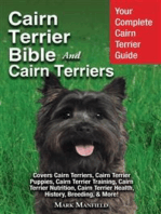 Cairn Terrier Bible And Cairn Terriers