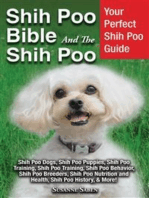 Shih Poo Bible And The Shih Poo