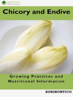 Chicory and Endive