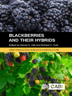 Blackberries and Their Hybrids