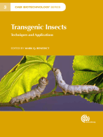Transgenic Insects: Techniques and Applications