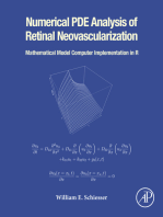 Numerical PDE Analysis of Retinal Neovascularization: Mathematical Model Computer Implementation in R