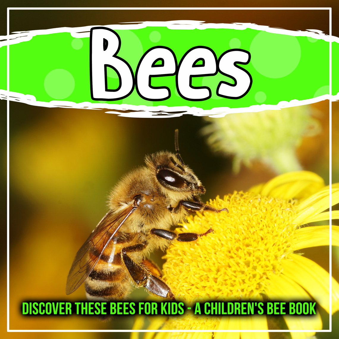 read-bees-discover-these-bees-for-kids-a-children-s-bee-book-online