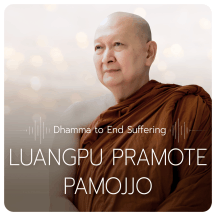 Mindfulness Dhamma to End Suffering