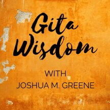 Gita Wisdom Teachings by Joshua M. Greene (Yogesvara)