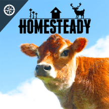 Homesteady - Stories of Living off the Land