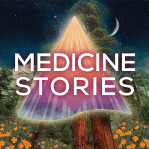 Medicine Stories