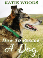How To Rescue A Dog