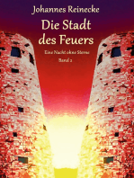 Die Stadt des Feuers: Eine Nacht ohne Sterne 2