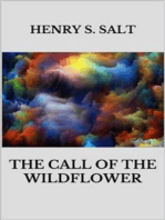 The call of the wildflower