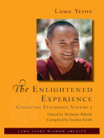 The Enlightened Experience
