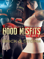 Hood Misfits Volume 3: Carl Weber Presents