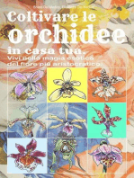 Coltivare le orchidee in casa tua. Vivi nella magia esotica del fiore più aristocratico.