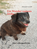 Ein Wunder namens Molla