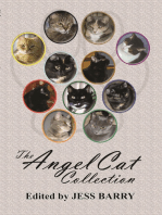The Angel Cat Collection