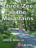 Three-Zee in the Mountains