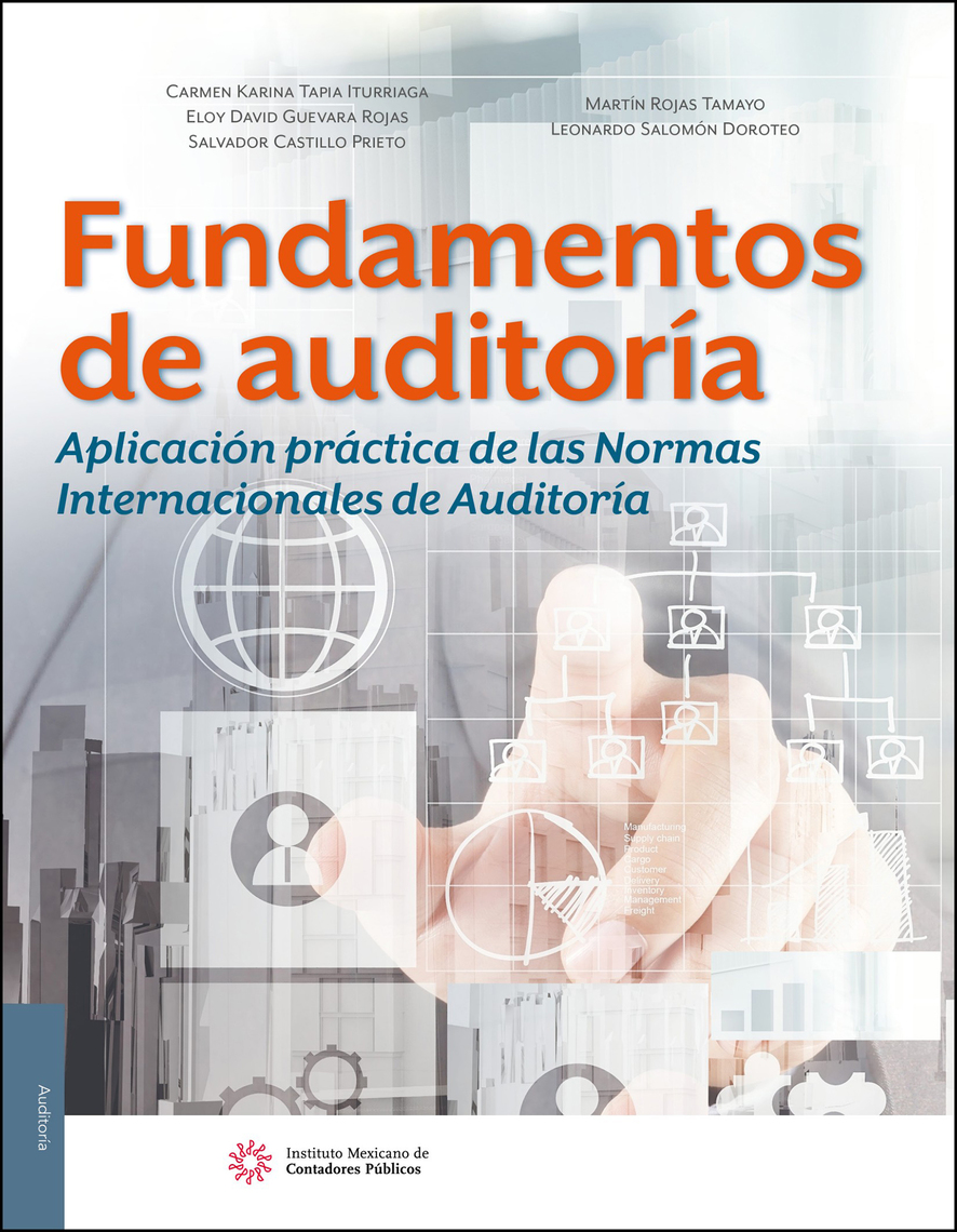 Fundamentos de auditoría. Aplicación práctica de las Normas Internacionales de Auditoría de