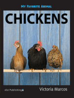 My Favorite Animal: Chickens