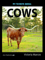My Favorite Animal: Cows