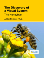 Discovery of a Visual System - The Honeybee, The