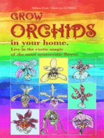 Grow Orchids in Your Home.: Live in the exotic magic of the most aristocratic flower.