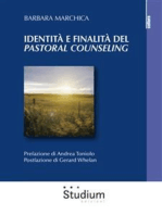 Identità e finalità del Pastoral Counseling: L'interazione tra la teoria di Lonergan e la pratica pastorale. Analisi di un caso individuale e di gruppo