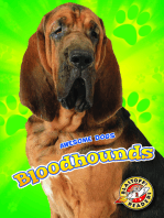 Bloodhounds