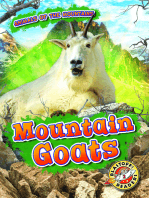 Mountain Goats